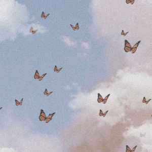 Meet your Posher, Melsy